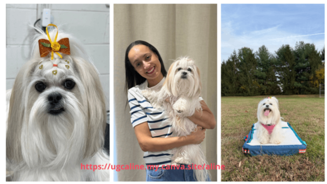 UGC PET PHOTOS.png