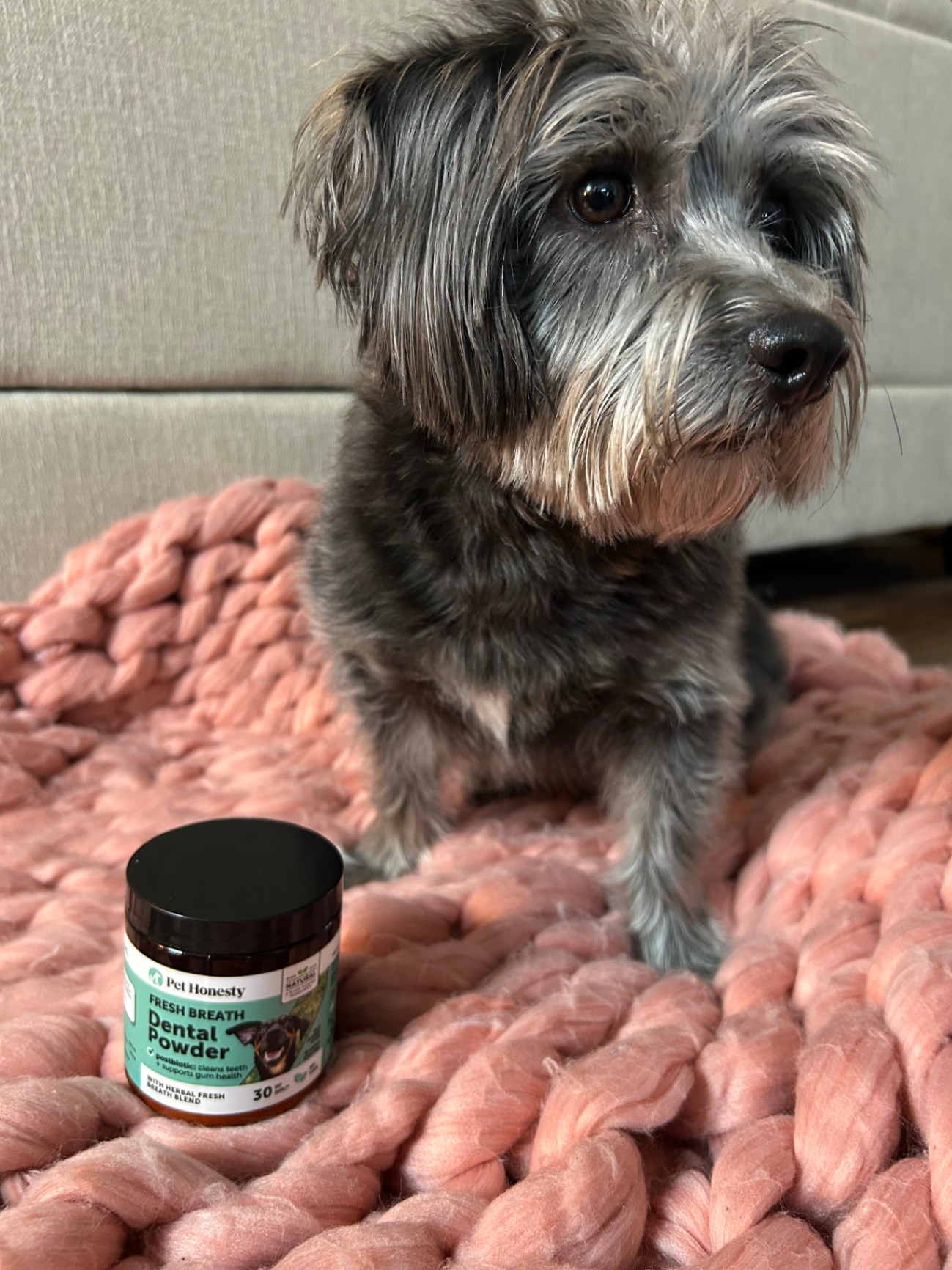 pet honesty dental powder_w bentley.jpg